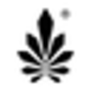 Nine Realms
